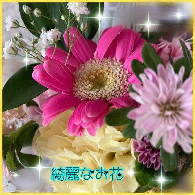 葉子(ようこ)の写メ